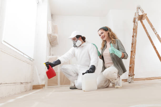 Reliable Newburgh Heights, OH Mold Inspection, Removal & Remediation Solutions